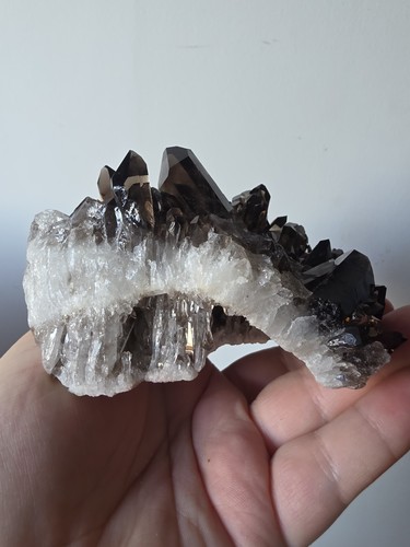 Natural smoky quartz - smoky, crystal