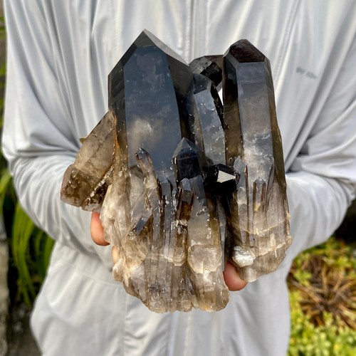35lb natural smoky black - natural,