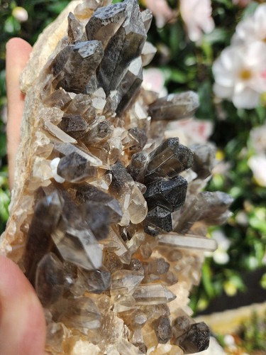 Smoky quartz cluster 792g - smoky,