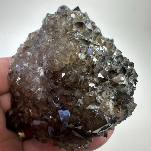 Smoky quartz crystal cluster - smoky,