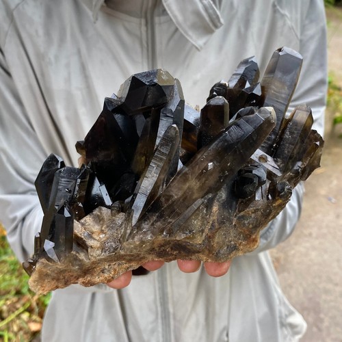 23lb natural black smoky - black,