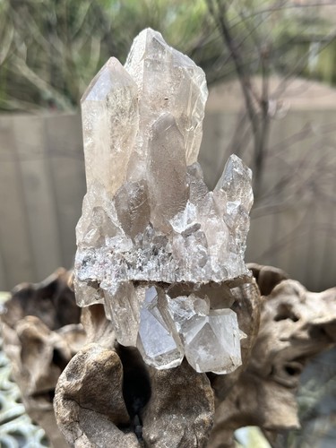 Smoky quartz cluster swiss - smoky,