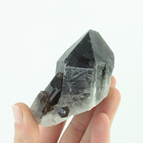 Large smoky quartz - quartz, cluster