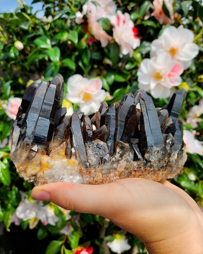 Smoky quartz cluster - xl,