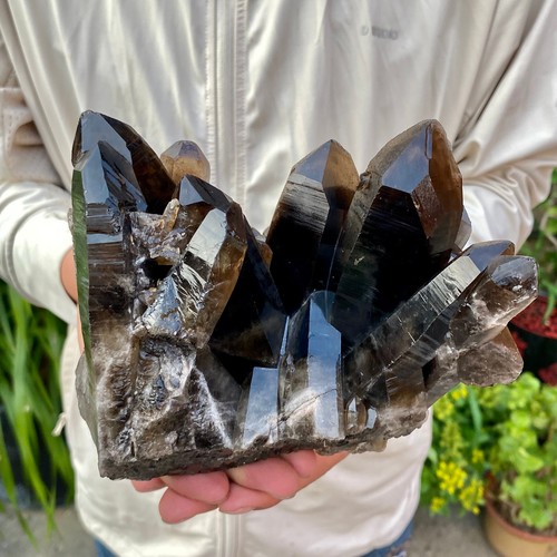 4lb natural black smoky - natural,