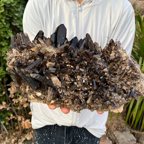 87lb large natural smoky - 15.87lb,