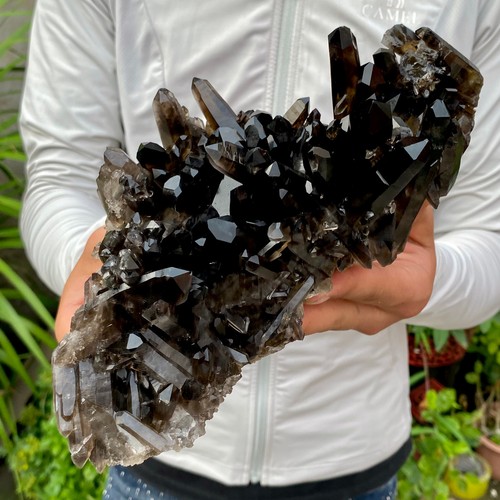 18lb natural smoky black - 4.18lb,