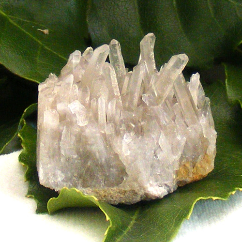 Natural pale smoky - natural,
