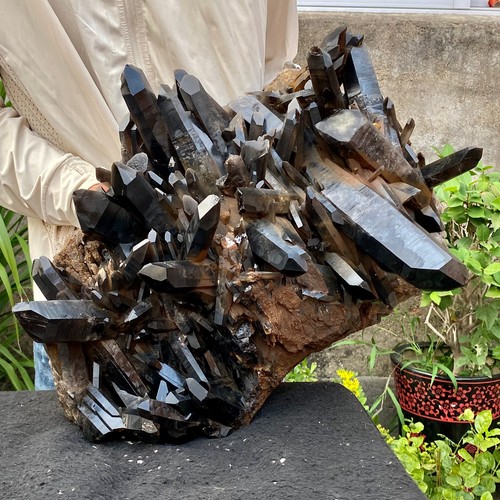 74lb large natural - 57.74lb,