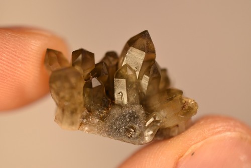 Australian smoky quartz - australian, *smoky