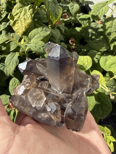 Natural smoky quartz crystal - smoky,