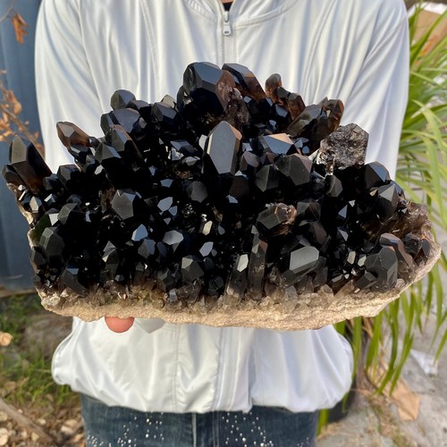 59lb large natural smoky - natural,