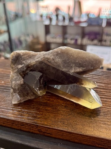 Smoky quartz crystal cluster - smoky,