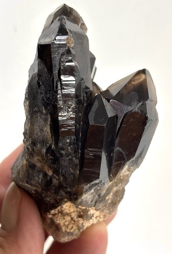 Large smoky quartz cluster - quartz,