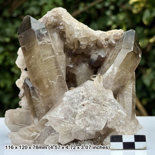 Smoky quartz crystal cluster - smoky,