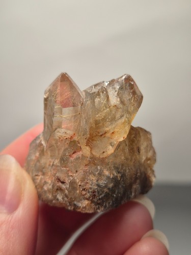 Cluster smoky quartz rutile - quartz,