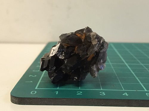 Smoky quartz cluster - quartz,