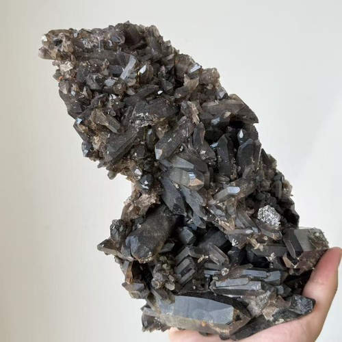 9lb large natural smoky - 5.9lb,